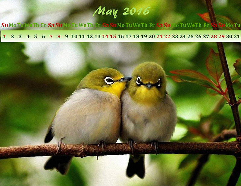 May calendar design