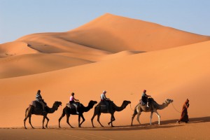 camelcade in a desert